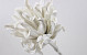 Foam flower 80cm white/grey