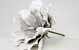 Echeveria en mousse 22cm blanc/gris