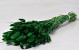 Bouquet Lagurus Vert 75cm