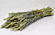 Triticum natural (wheat) 70cm