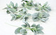 Artificial Stachys 38cm Green