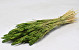 Triticum Grün (Weizen) 70cm