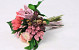 Mini Strauss Rosa D15cm