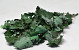 Oak Leaves Green 50-60cm