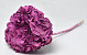 Hydrangea preserved Mauve D16cm