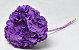 Hortensien Violett D16cm prepariert 