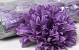 Chrysantheme Lavendel D16cm