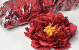 Peony Red D18cm