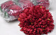 Chrysant D19cm Bordeaux