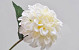 Zinnia Steel Creme 26cm
