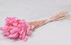 Bouquet Lagurus Rose Pastel 60cm