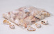 Shells strombus luhuanus 1kg