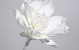 Blume Schaumstoff 75cm Weiss