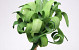 Foam Plant 30cm green