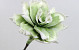 Fleur en mousse 75cm Blanc-Vert