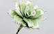 Foam Bloem 75cm wit-groen