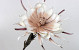 Blume Schaumstoff 80cm Weiss-Mocca