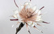 Fleur en mousse 80cm Blanc-Mocca