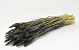 Triticum Black (wheat) 70cm