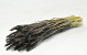 Weizen Schwarz (Triticum) 70cm