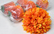 Chrysantheme D19cm Herbst Orange