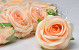 Rose D9cm Peach Orange 