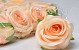 Rose D9cm Peach Orange 