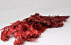 Feuille de Chêne Rouge 60-70cm