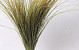 Beach Grass XL 120cm 500gr.