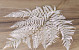 Fern 60cm Bleached 5pcs