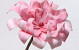 Fleur en mousse 24cm rose
