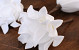 Foam flower 14cm white