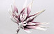Foam Flower White/Lilac, D 35cm