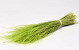 Stipa Penata 50gr. Hellgrün