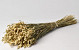 Briza Maxima 80gr.
