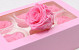 Rosenköpfe 6cm baby pink