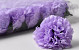 Carnation D9cm Lilac