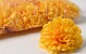 Carnation D9cm Yellow/Orange