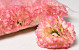 Carnation D9cm Pink/Yellow