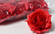 Rose Red D11cm 