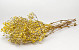 Gypsophila Jaune preparé 30gr.