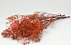 Gypsophila Orange präserviert 30Gr.