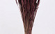 Bouquet Triticum Marron (blé) 70cm