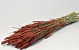 Bouquet Triticum Rouge-Marron (blé) 70cm