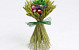 Bouquet Séchée d10cm vert