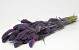 Bouquet Setaria Violet 65cm 