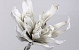 Fleur en mousse Blanc-Gris, D 35cm