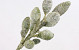 Decorum 100cm Green