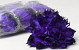 Dahlia D16cm Purple