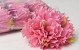 Kunst Dahlia Babyroze D16cm